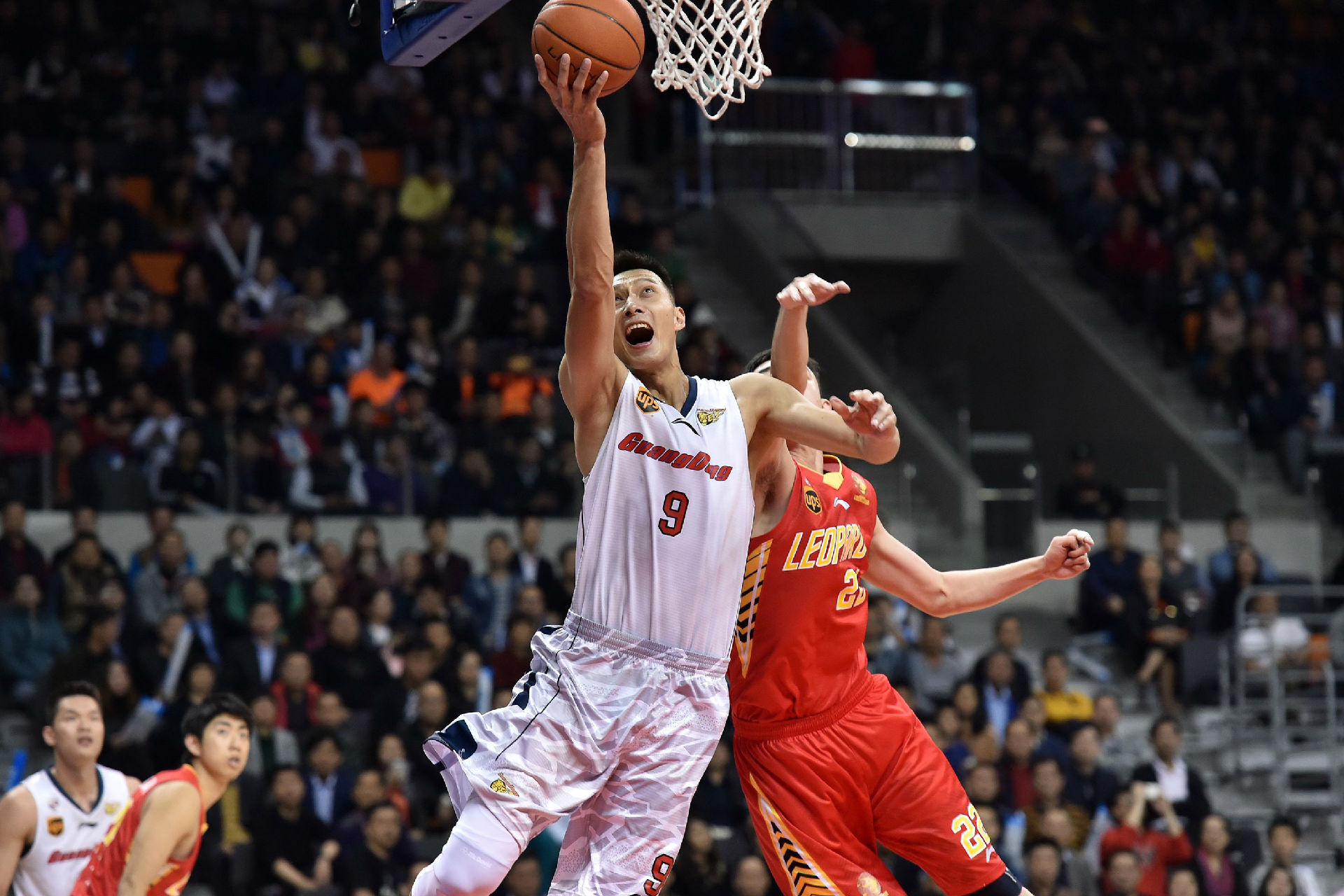 他们不仅在 他们不仅在