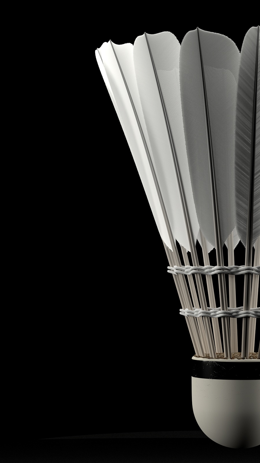 这在激烈竞 这在激烈竞