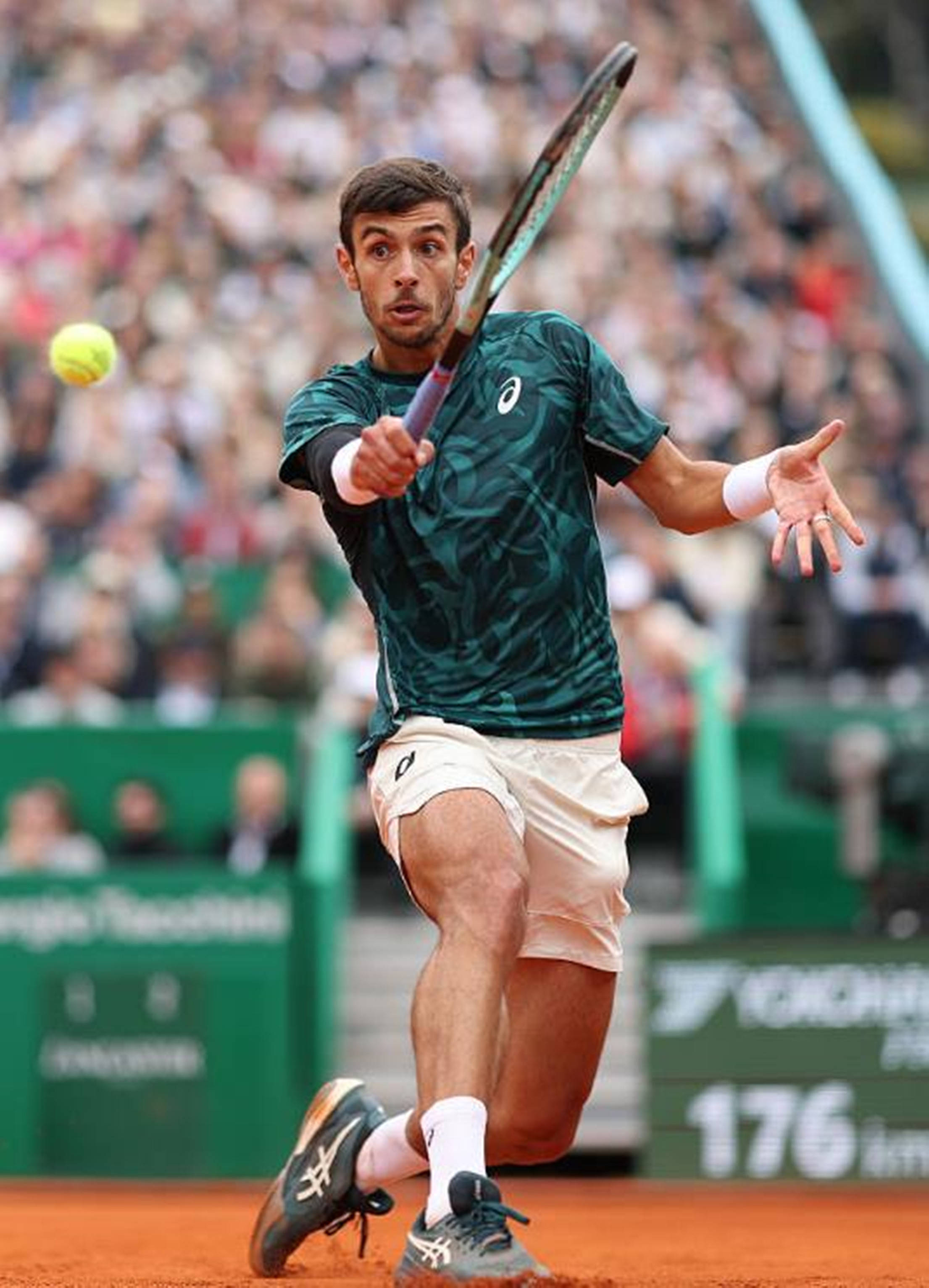 场令人瞩目 场令人瞩目